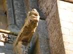  gargouille (cathedrale)